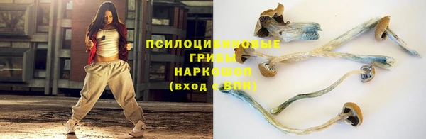 бошки Протвино