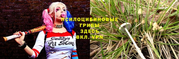 бошки Протвино
