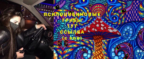 гидропоника Пролетарск