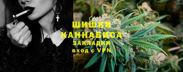 бошки Протвино
