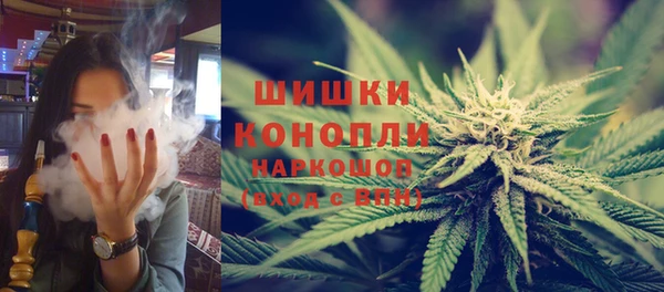 бошки Протвино