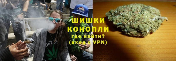 бошки Протвино